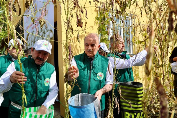 Vali Erol, Akkuş’ta Şeker Fasulyesi Hasat Töreni’ne katıldı