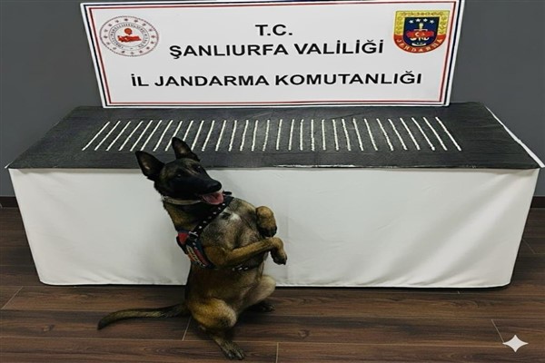 Eyyübiye’de, narkotik suçlarla mücadele kapsamında operasyon gerçekleştirildi