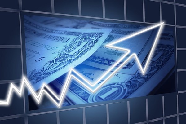 Ecogreen Enerji’nin halka arz sonuçları