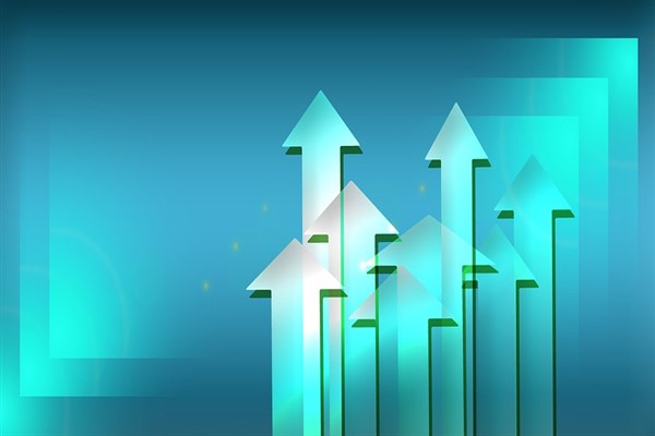 Net Holding’in kendi paylarından geri alımı