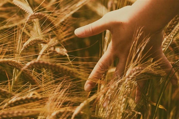 Yerli üretimle güçlenen sürdürülebilir gelecek