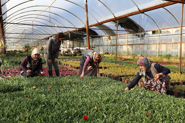 Muğla’da kadın kooperatifleri destekleniyor