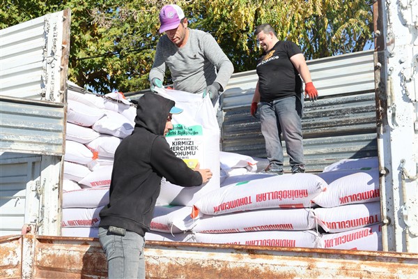 Konya’da çiftçiye mercimek tohumu desteği
